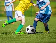 足球圈,森林渔翁撒,网购人策略,拼搏在线彩神通,彩票平台,数据分析,彩票预测,在线投注