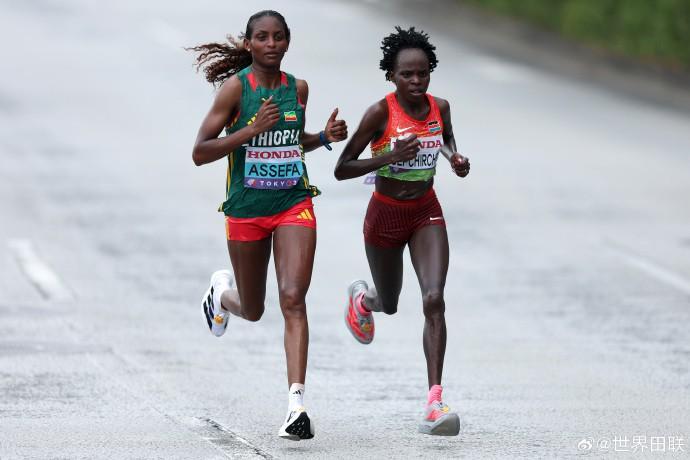 埃瓦尔对战,皇家社会,埃瓦尔队实,拼搏在线彩神通,彩票平台,数据分析,彩票预测,在线投注