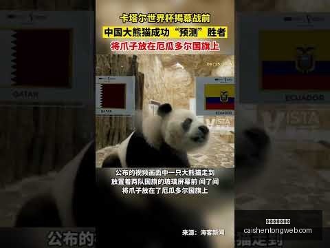 賈西姆离职,未披露额外,亿美元投资,拼搏在线彩神通,彩票平台,数据分析,彩票预测,在线投注
