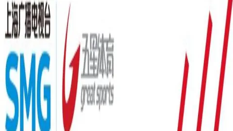 智利对阵佛得角：智利实力分析及专家推荐